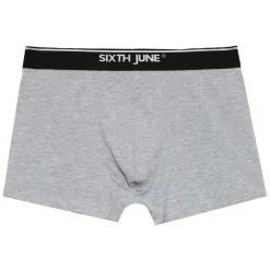 Boxer Uni Bande Gris