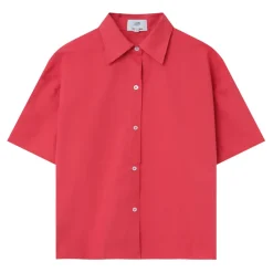 Chemise Brodee Unie Rose