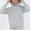 Sweat Capuche Molletonne Logo Gris