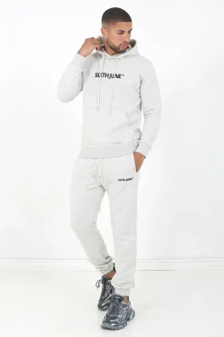 Sweatshirt Capuche Logo Brode Gris Clair