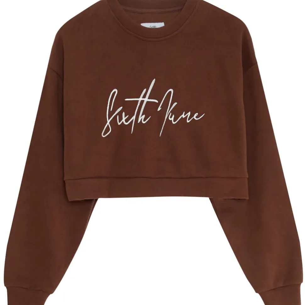 Sweatshirt Signature Molletonnee Marron Fonce