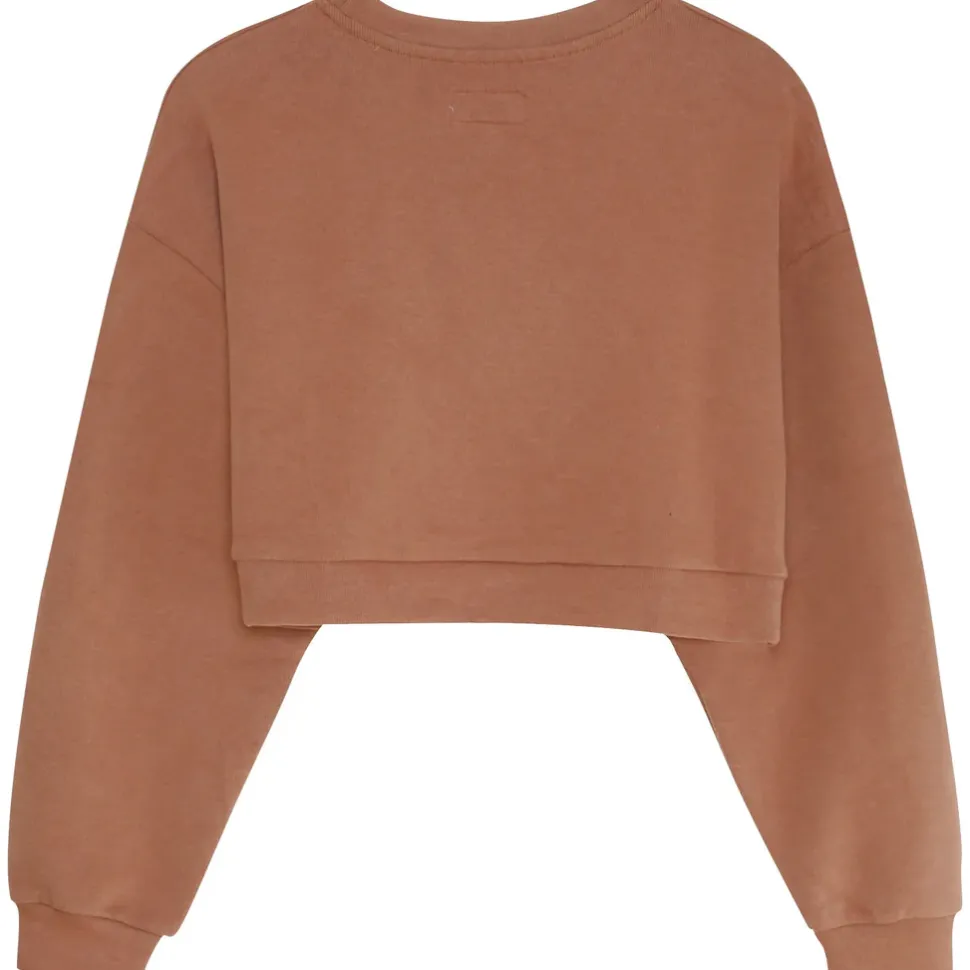 Sweatshirt Signature Molletonnee Beige Fonce