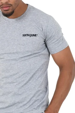 T-Shirt Soft Logo Brode Gris