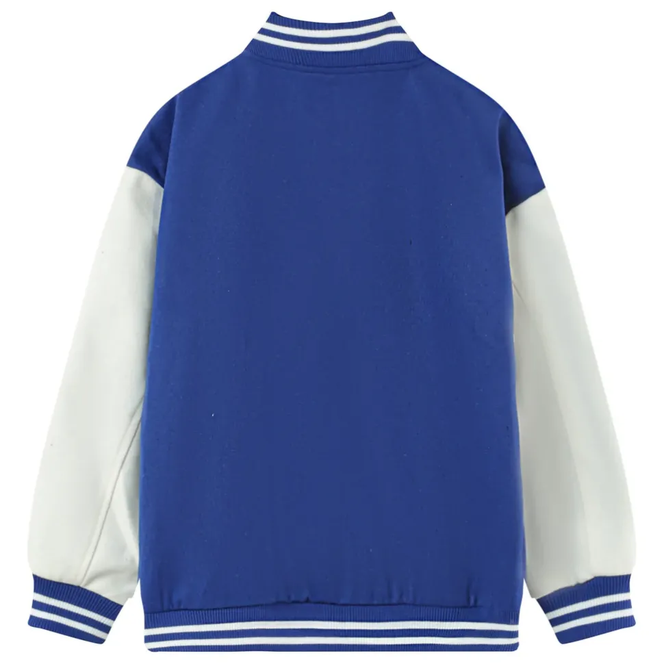 Veste Teddy Bicolore Bleu